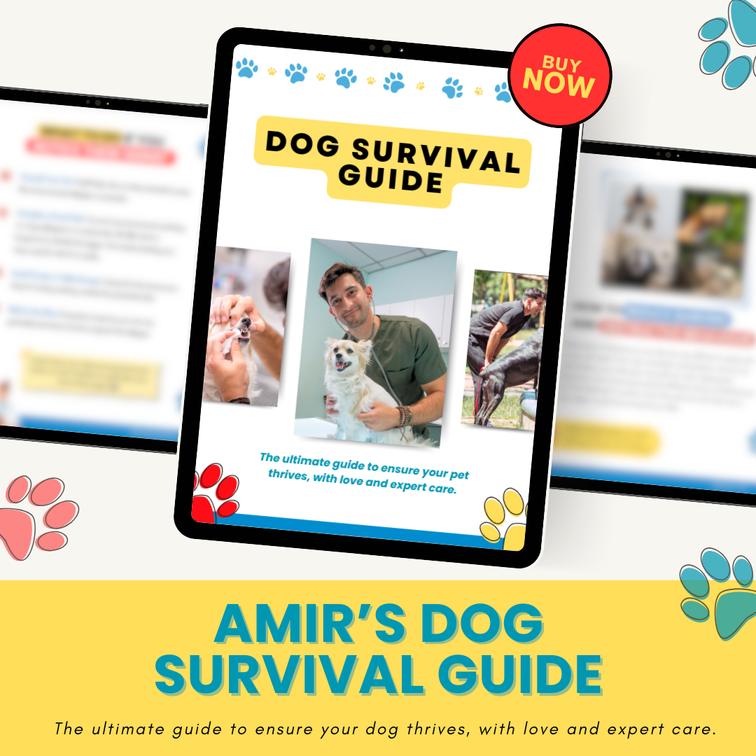 Amir's Dog Survival Guide