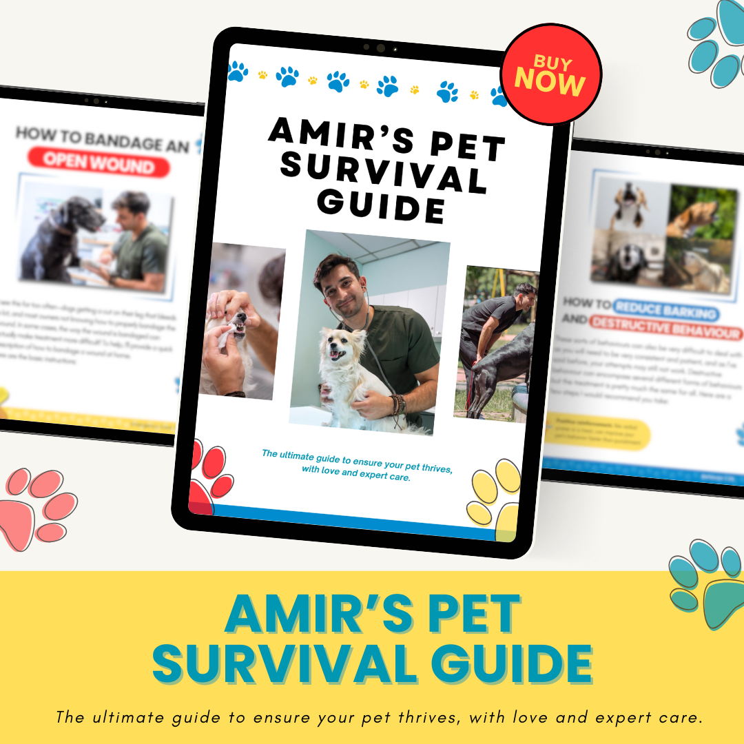 Amir's Pet Survival Guide